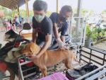 ดำเนินการฉีดวัคซีนป้องกันโรคพิษสุนัขบ้า  (สุนัขและแมว) ภายใต