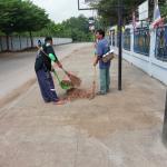 กิจกรรมจิตอาสาพัฒนาทุ่งควายกิน ประจำวันที่ 27 กุมภาพันธ์ 256