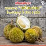 ทุเรียนอ่อน!