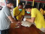 กองสาธารณสุขและสิ่งแวดล้อม ออกให้บริการฉีดวัคซีนโรคพิษสุนัขบ